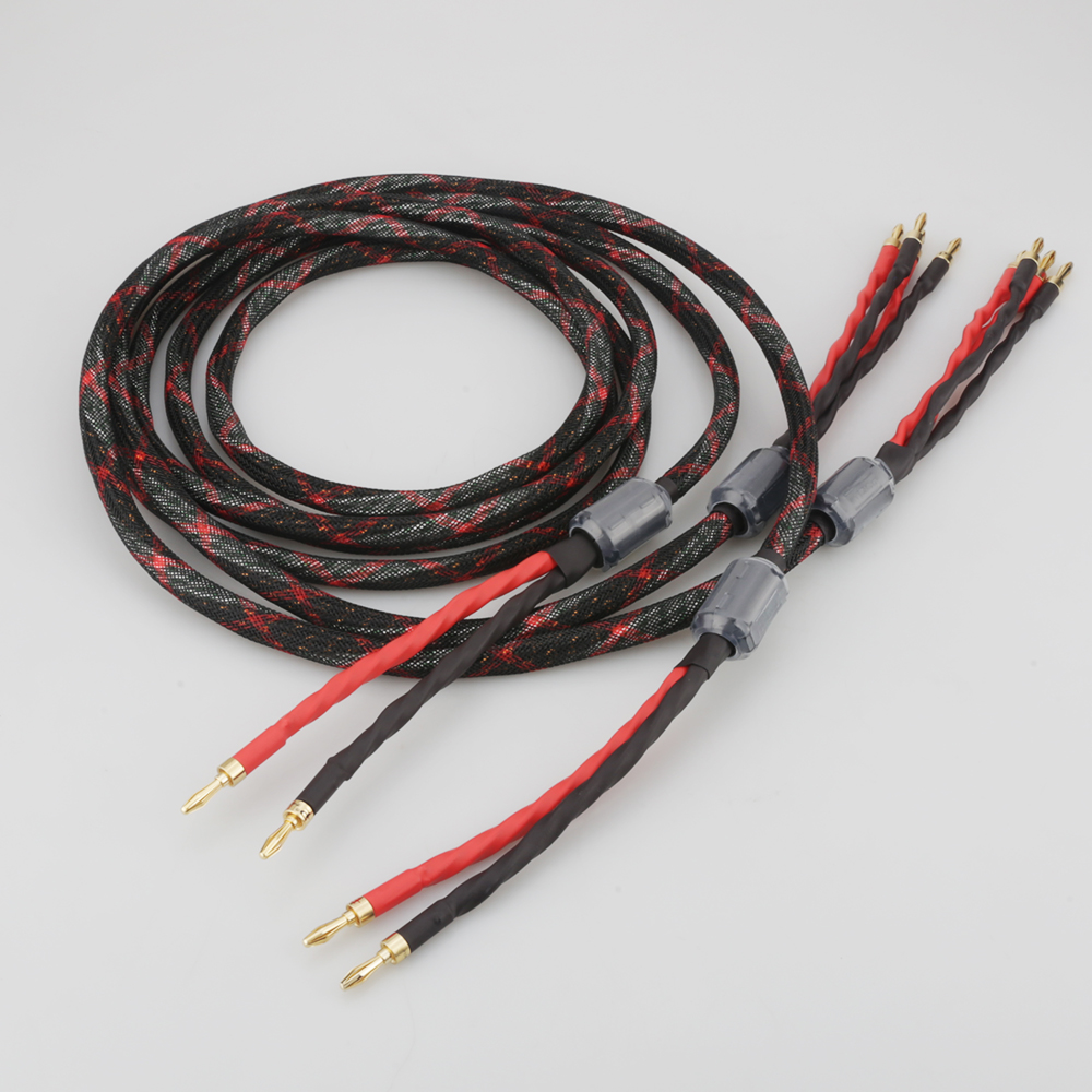 Cavo per Altoparlanti Bi-Wire  - Home Cinema Unit recensione e prezzo