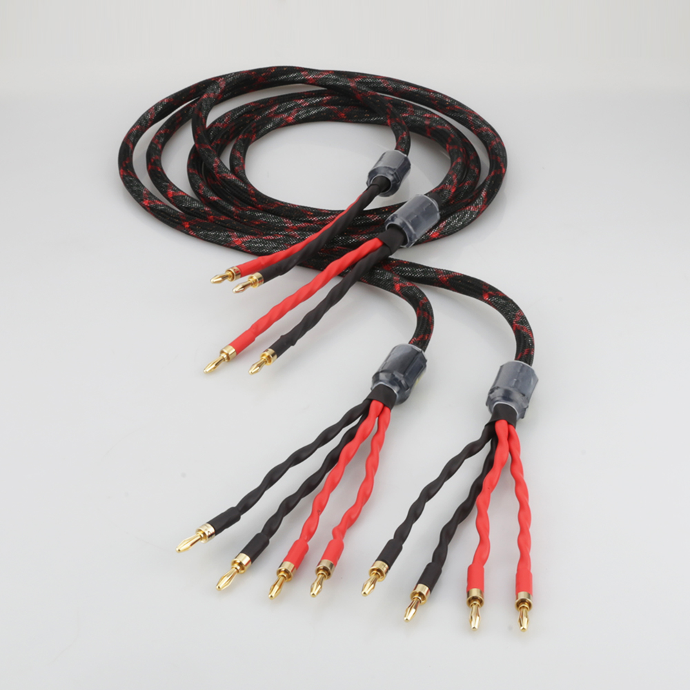 Cavo per Altoparlanti Bi-Wire  - Home Cinema Unit recensione e prezzo